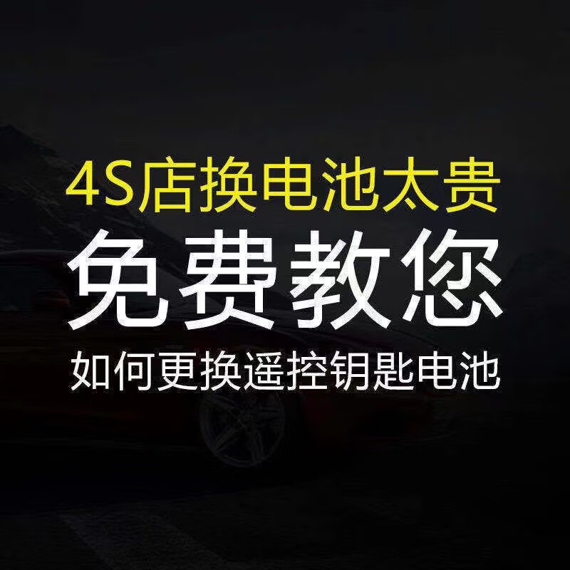 松下比亚迪方程豹5钥匙电池豹5专用豹五豹8豹3汽车遥控器锁匙电磁子 方程豹专用2粒