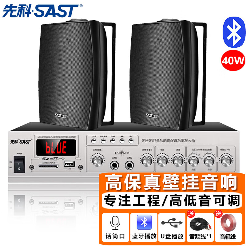 先科（SAST）DW40壁挂式音响套装40W音箱喇叭120W功放机店铺商用工程会议舞蹈室家用公共广播背景音乐一拖二