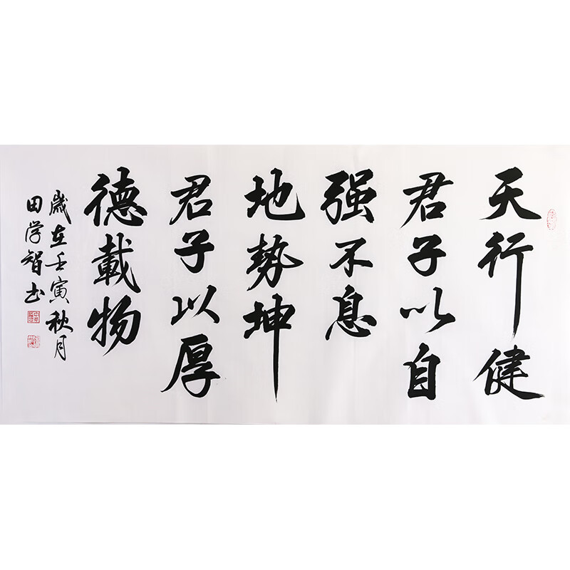 假一赔三带合影田学智 《天行健》手写真迹书法办公室客厅书法