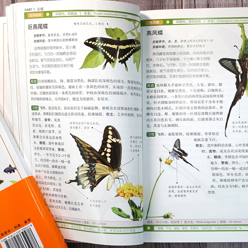 蝴蝶/大自然博物馆百科珍藏图鉴系列