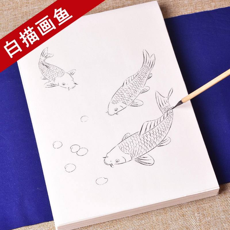 宣线描初学者入门美术基础教程临摹练习创作鲤鱼金鱼宣纸水彩国画上色