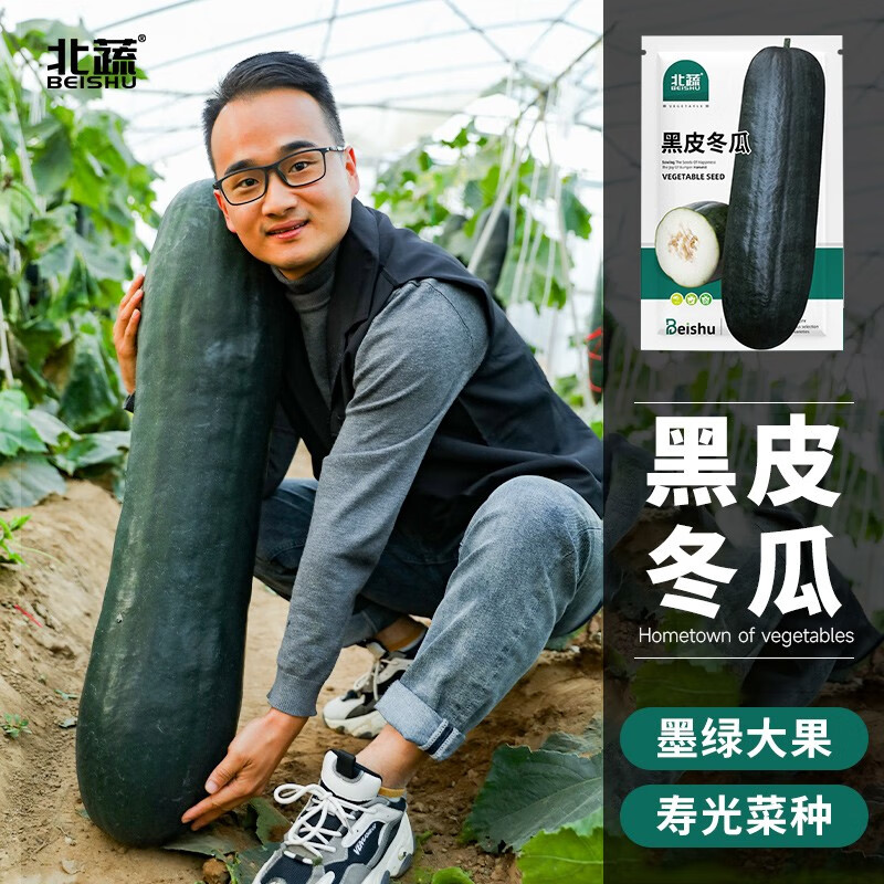 北蔬黑皮大冬瓜种子节瓜蔬菜庭院大果 北蔬黑皮冬瓜种子 50粒