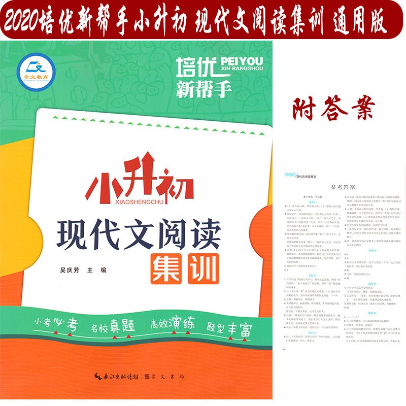 2020新版培优新帮手小升初现代文阅读集训 高效阅读提升训练题