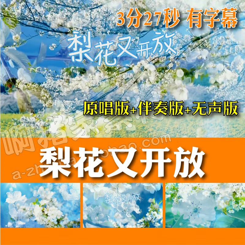 梨花又开放 邱诗晗原唱伴奏带字幕儿童晚会led大屏幕视频背景素材