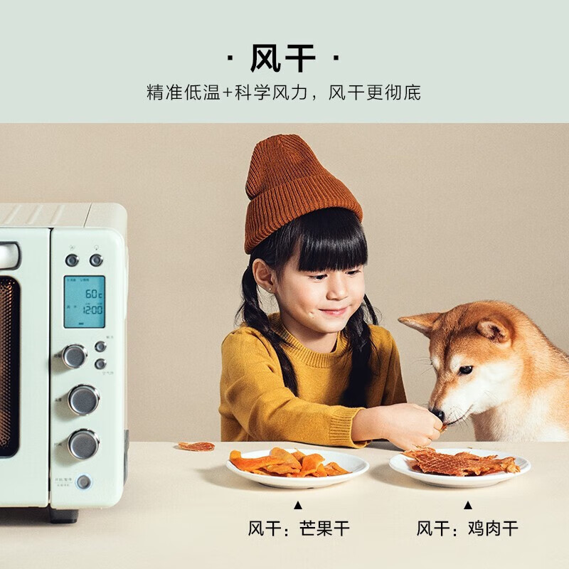 北鼎（Buydeem）电烤箱 家用多功能小烤箱 全自动台式迷你 空气炸烤鸡发酵 智能温控 一键操作烤箱 【浅衫绿】T535|7大功能|一键操作 31.5L