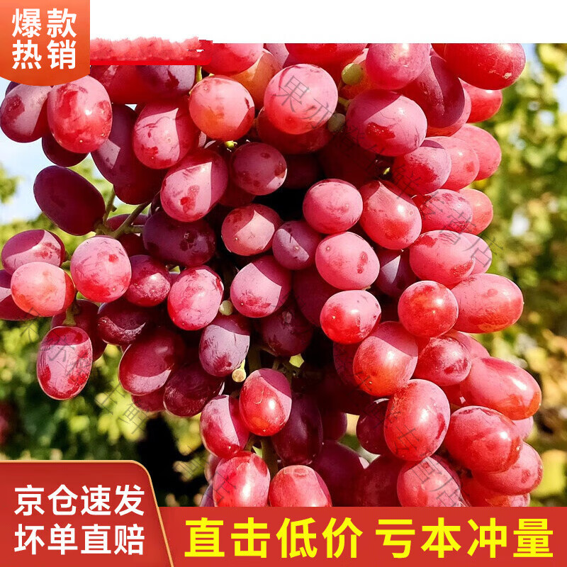 妮姬新疆特产 克瑞森葡萄无籽红提4斤新鲜水果 当季新鲜葡萄水果 生鲜