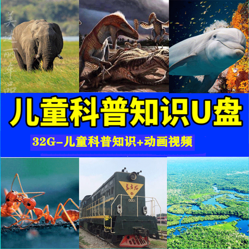 32g24部儿童科普知识 动画片