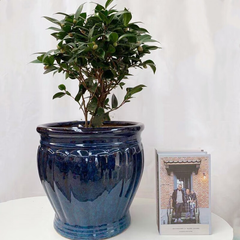 夺秀 大花盆30以上陶瓷特大号客厅落地高款花盆大型绿植种树盆 孔雀蓝