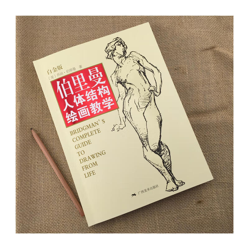 正版书籍伯里曼人体结构绘画教学白金版人体结构造型手绘技法 用画手