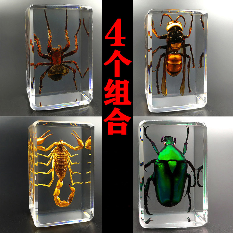 标本 相关京东优惠商品 价格图片品牌优惠券 虎窝购 标本 相关京东优惠商品 价格图片品牌优惠券 虎窝购