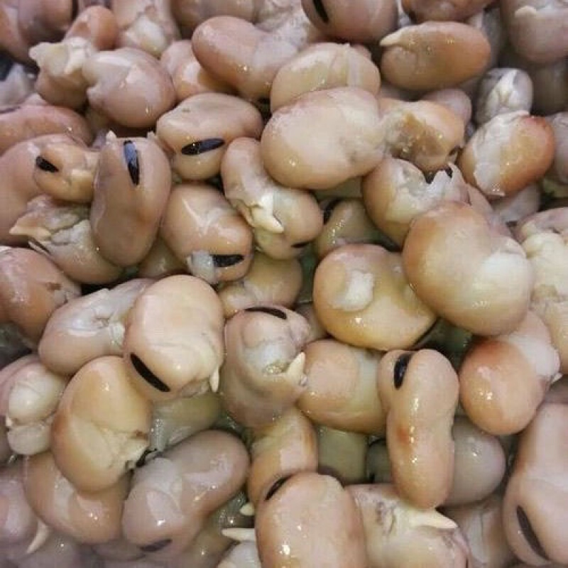 虎钢馋天津特产小吃乌豆五香水煮蚕豆500克真空包装 500克