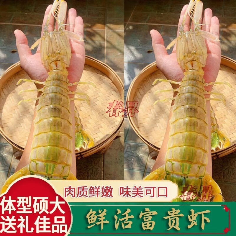 李享食丰富贵虾鲜活富贵虾超大富贵虾即食皮皮虾富贵虾濑尿虾富贵虾