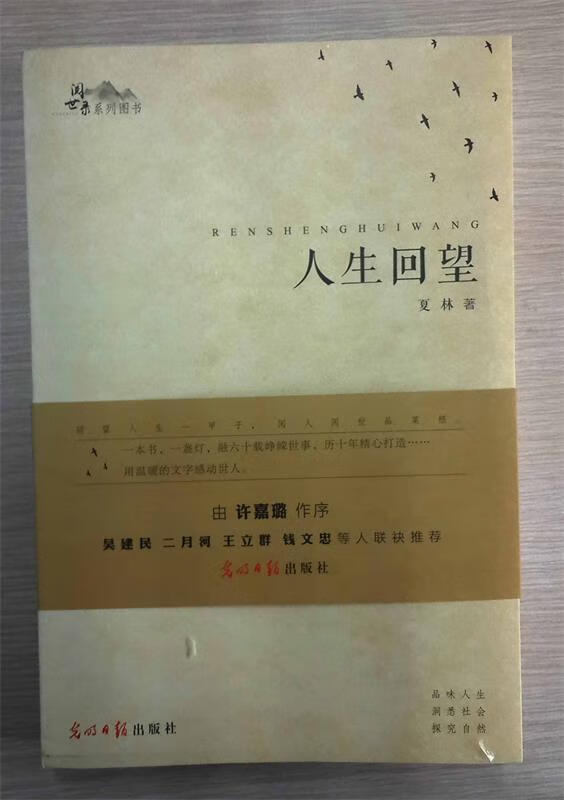 人生回望【正版图书,放心购买】