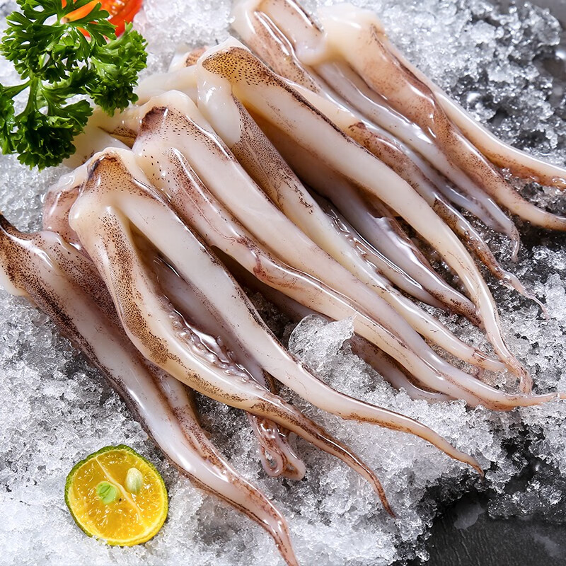渔吻新鲜鱿鱼须