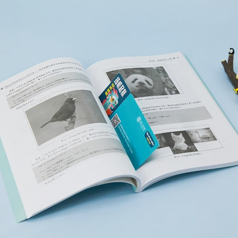 Python Streamlit从入门到实战——快速构建机器学习和数据科学Web应用（微课视频版）