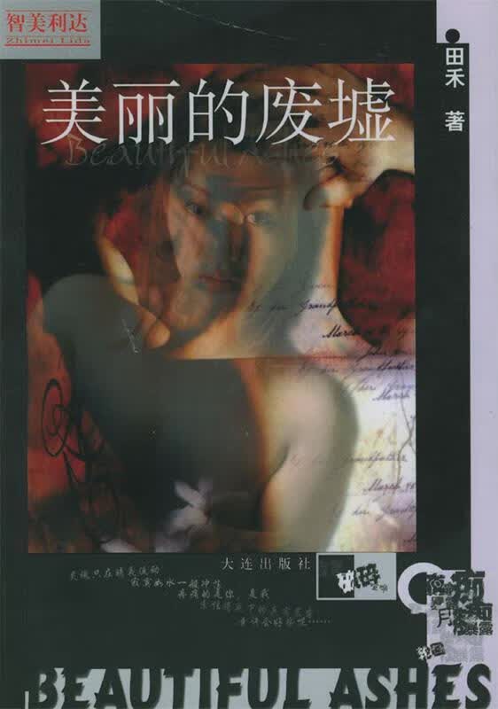 美丽的废墟 田禾 著 大连出版社