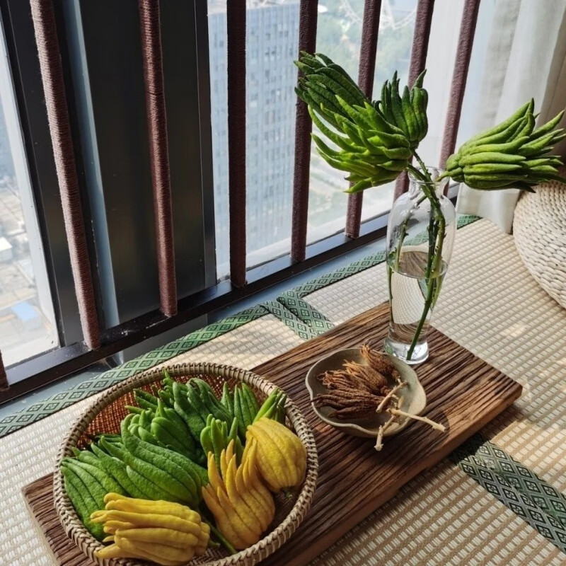 江影清佛手柑盆栽带果千指佛手苗金华佛手瓜带枝水培养 不带枝佛手摆