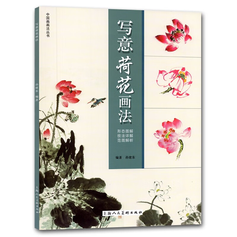 写意荷花画法 中国画画法丛书 荷花的形态图解技法详解步骤示范 写意