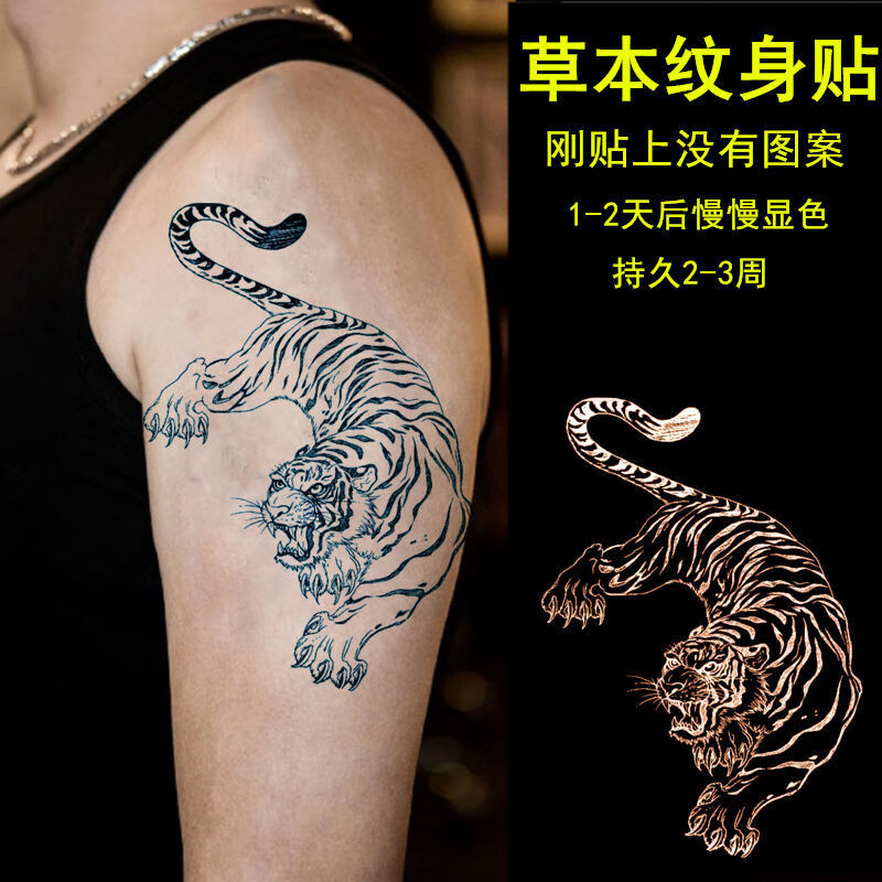 草本果汁纹身贴线条下山虎纹身贴防水男:老虎:猛虎下山:胳膊大图 草本