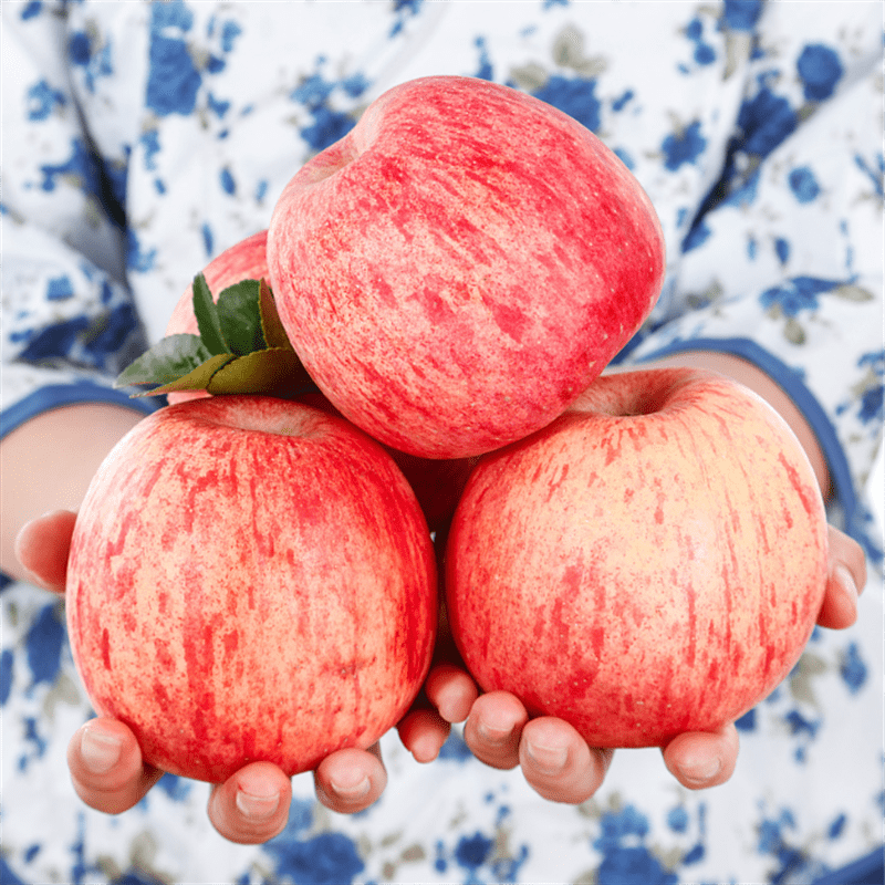 洛川苹果（luochuanapple）苹果洛川苹果陕西时令水果红富士苹果礼盒装生鲜小白必看！来看下质量评测怎么样吧！