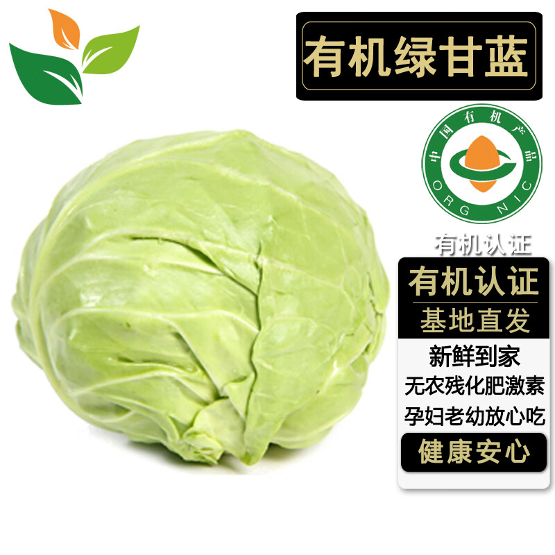 有机绿甘蓝2斤五斤 卷心菜圆白菜 有机认证无农残食材汇 新鲜蔬菜 3斤