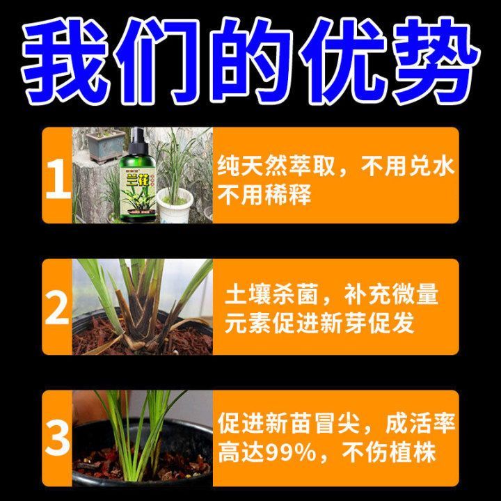 兰花强力爆芽素爆芽王兰花营养液直接喷生根壮根催芽爆芽增肥专用 兰花爆芽营养液 五瓶装