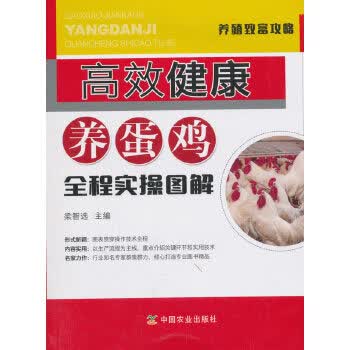 高效健康养蛋鸡全程实操图解 梁智选 编 中国农业出版社 9787109236394