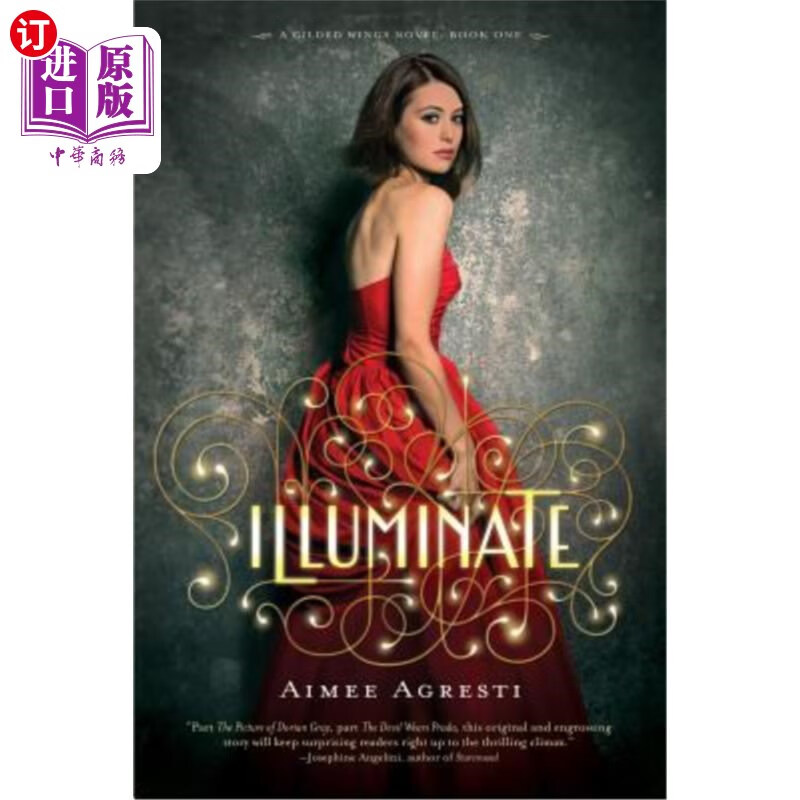 海外直订illuminate 照明