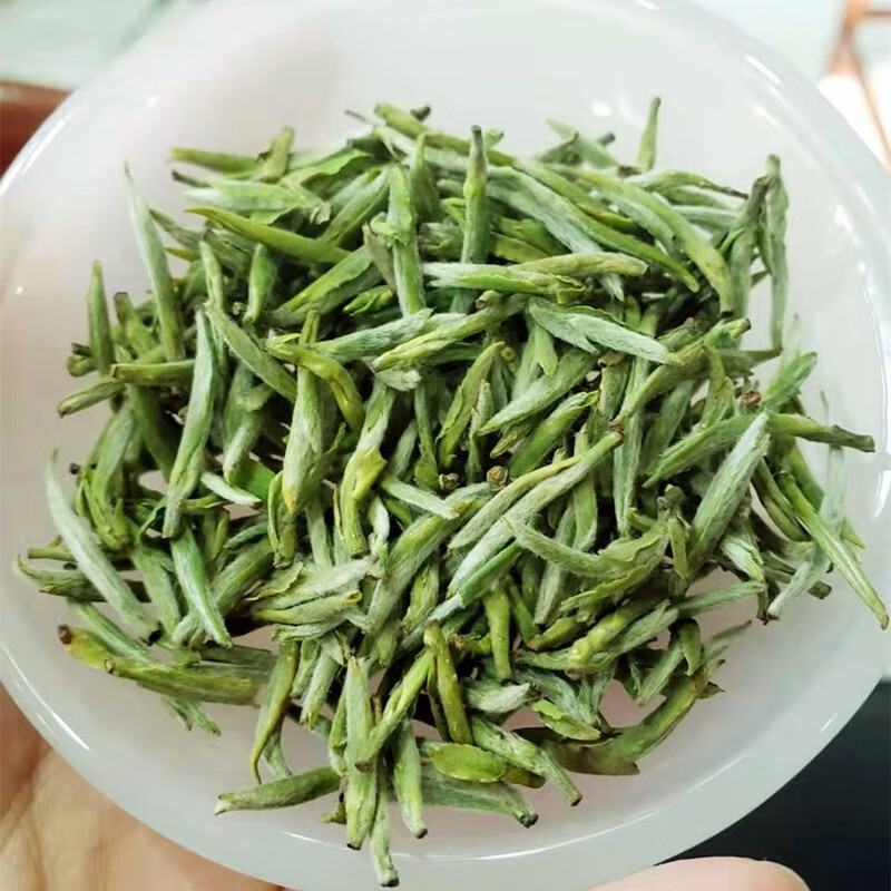 杨头奇文绿茶茶叶2024年新茶开园头采早春茶嫩芽黄芽毛峰高山绿茶试喝