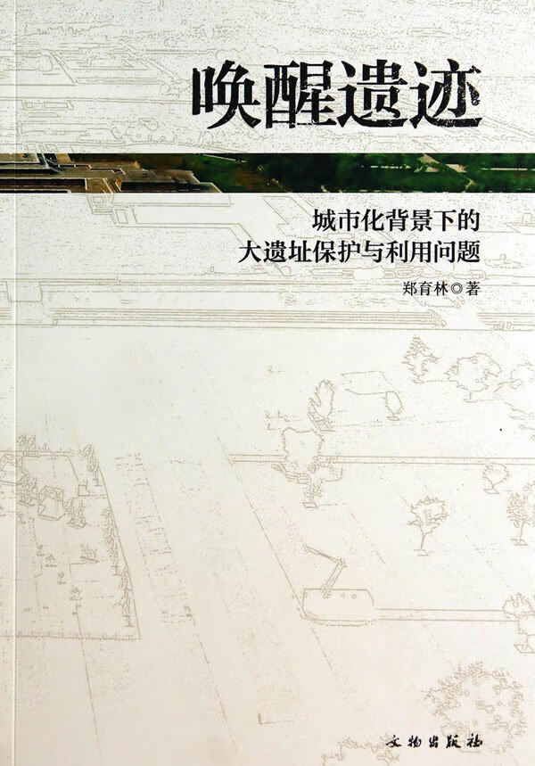 唤醒遗迹【放心选购】