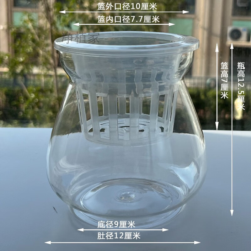 园小学透明塑料水培容器观察绿豆红薯洋葱大蒜发芽种 塑料瓶 宽缝深篮
