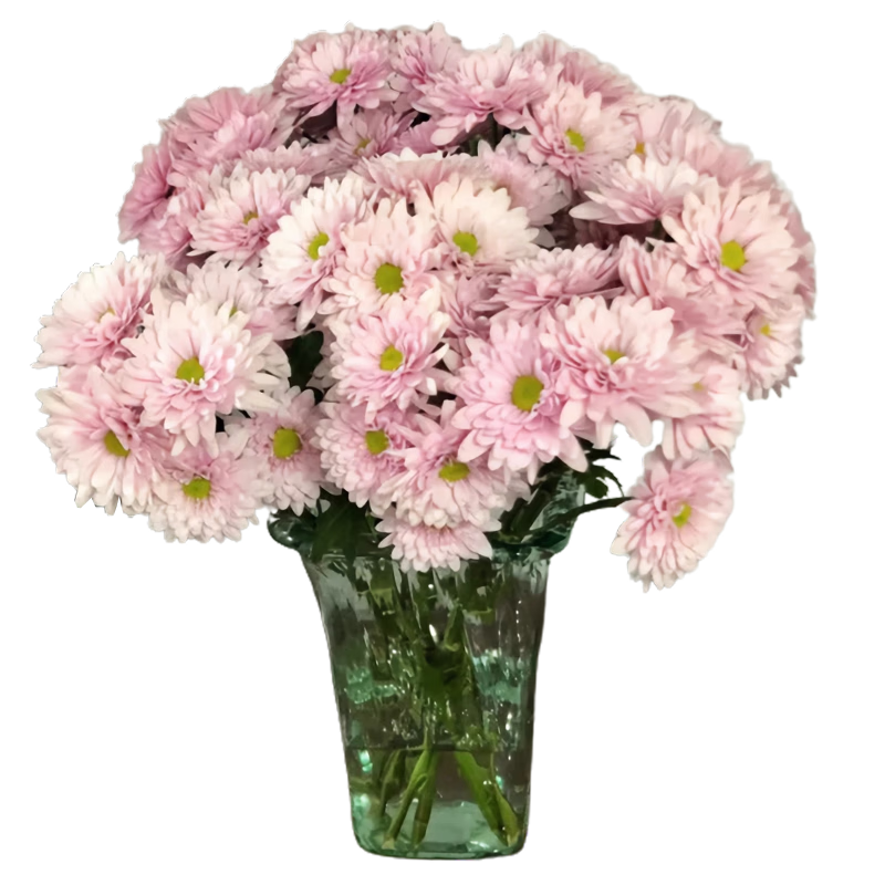 �ö��С����  �ʻ��ٵ����ϻ���ֱ��ƹ�Ҿջ��İ칫�Ҽ�ͥˮ�����л� С���� ����ɫϵ ��8-10֧ 29.7Ԫ