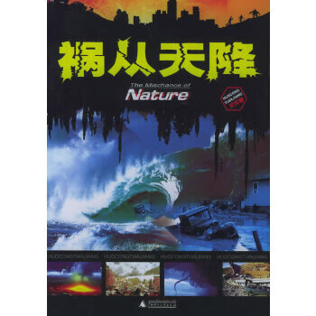 祸从天降(天灾卷)