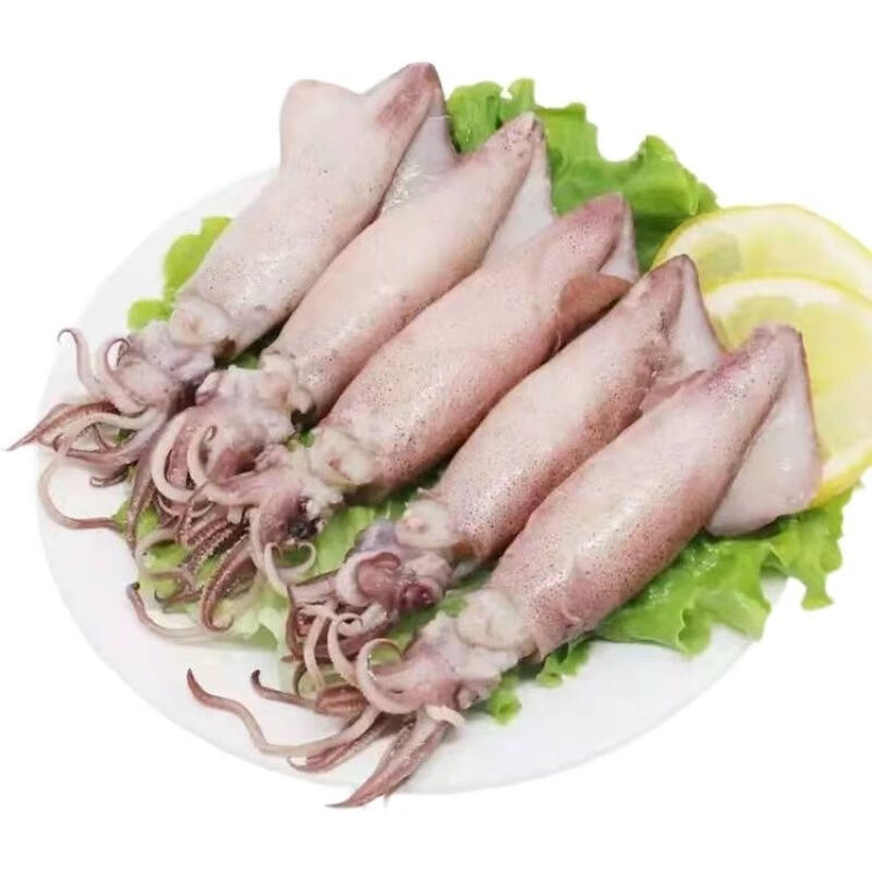 燕江澜全籽籽乌带籽满籽乌鱼新鲜海兔笔管鱼墨鱼鱿鱼八爪鱼斗鱼海鲜