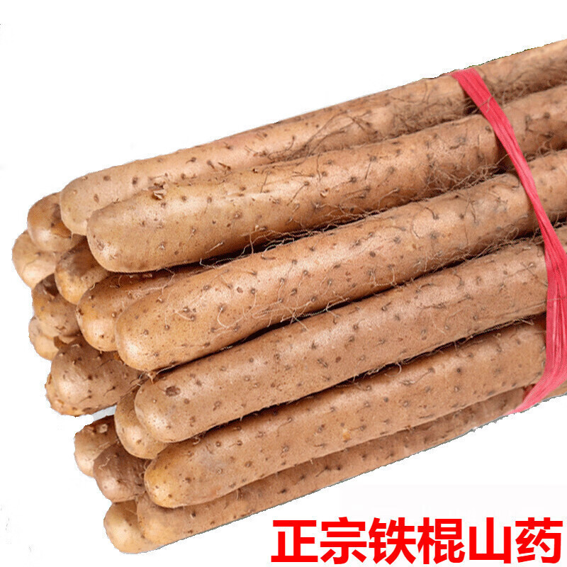 ��Ӫ�������ٷ�������ɽҩ����С����ɽҩ��Ŵ����ɽҩ�����߲˻�ɽҩ 5���Ŵɽҩ��������ˤ��