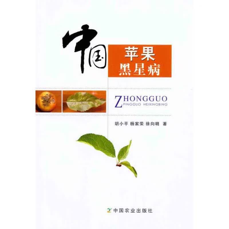 中国苹果黑星病