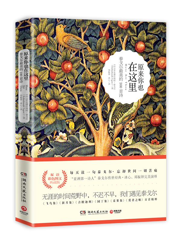 原来你也在这里 rabindranath tagore【正版】