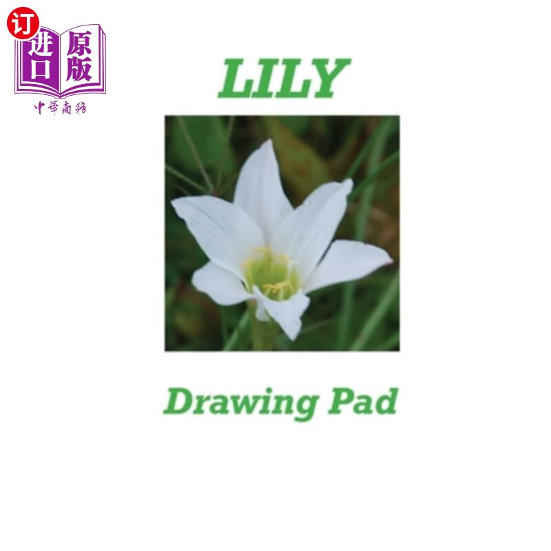 海外直订lily drawing pad 百合画板