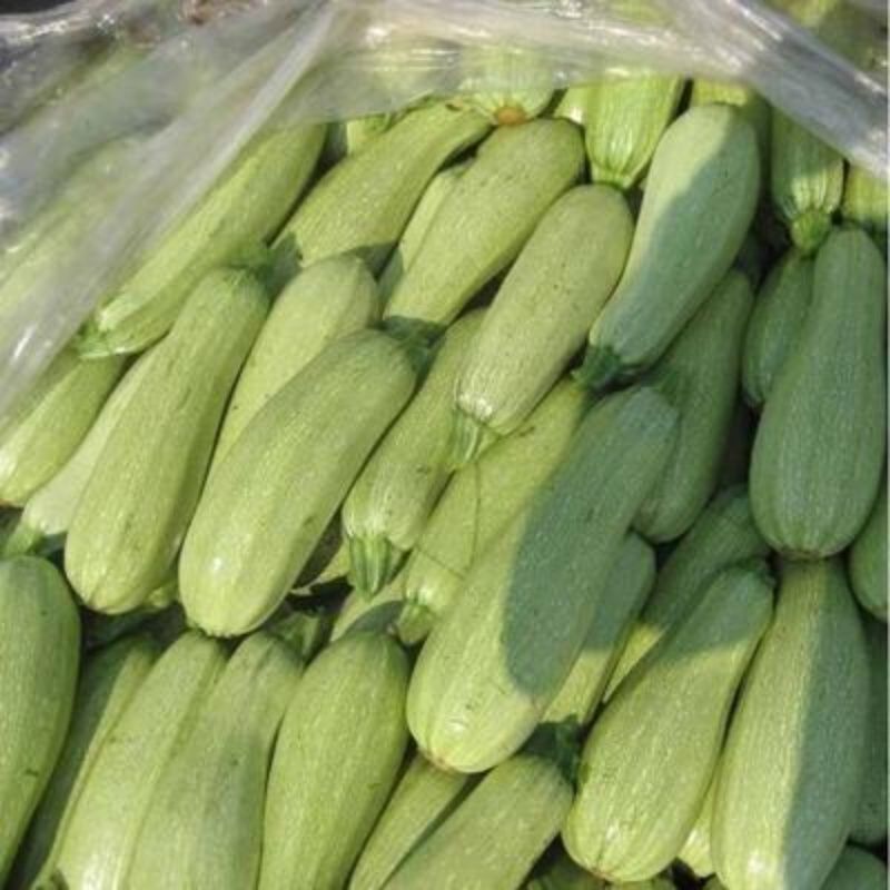 新鲜西葫芦农家自种新鲜当季新鲜蔬菜小瓜整箱批发 - 五斤