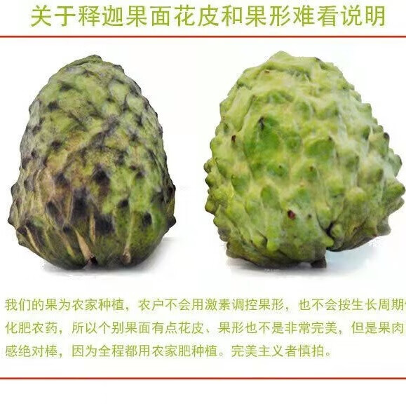 鲜宝道现摘牛奶凤梨释迦 释迦番荔枝佛头果 3斤净重2.5单果150克