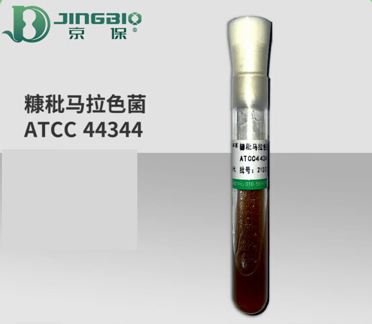 2代糠秕马拉色菌atcc44344标准菌株糠秕孢子菌对照株甘油斜面 菌株