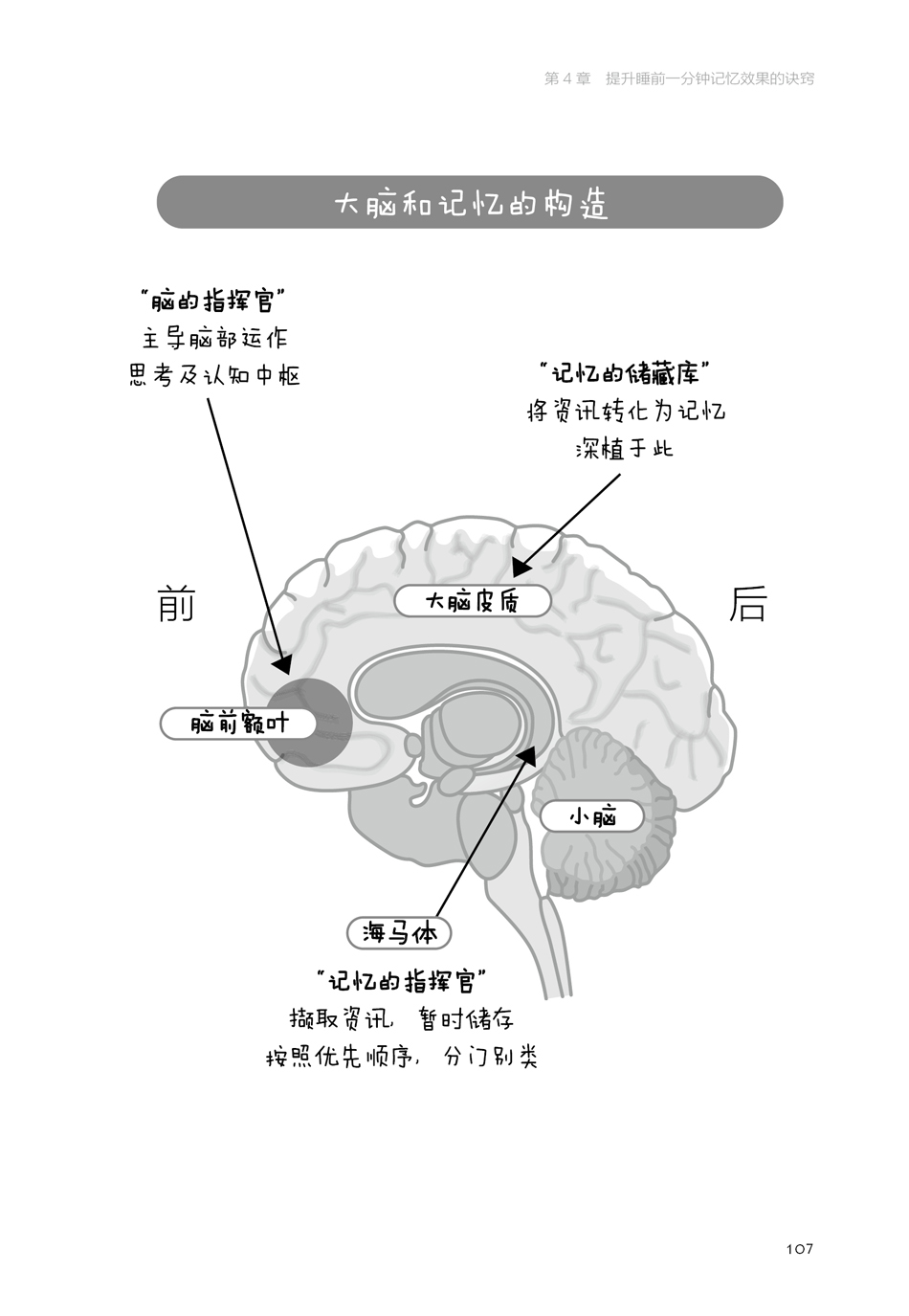 不熬夜，不死背，睡前1分钟惊人学习法详情图