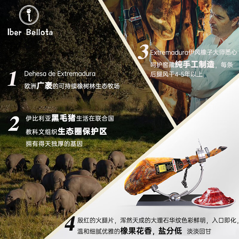 Iber Bellota伊风橡子西班牙火腿伊比利亚原装进口整腿黑猪节日礼盒装整只送礼 48个月黑标伊比利亚前腿5-6kg