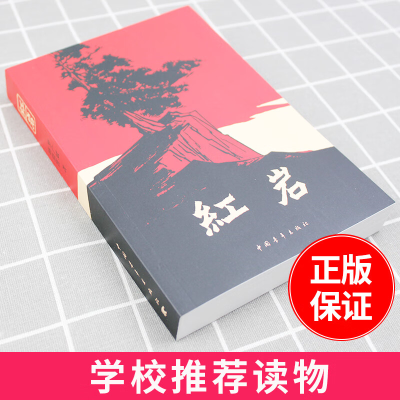 正版 红岩 杨益言罗广斌 原著原版初中版青少年革命爱国主义教科书