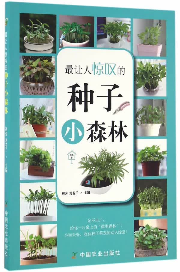 让人惊叹的种子小森林