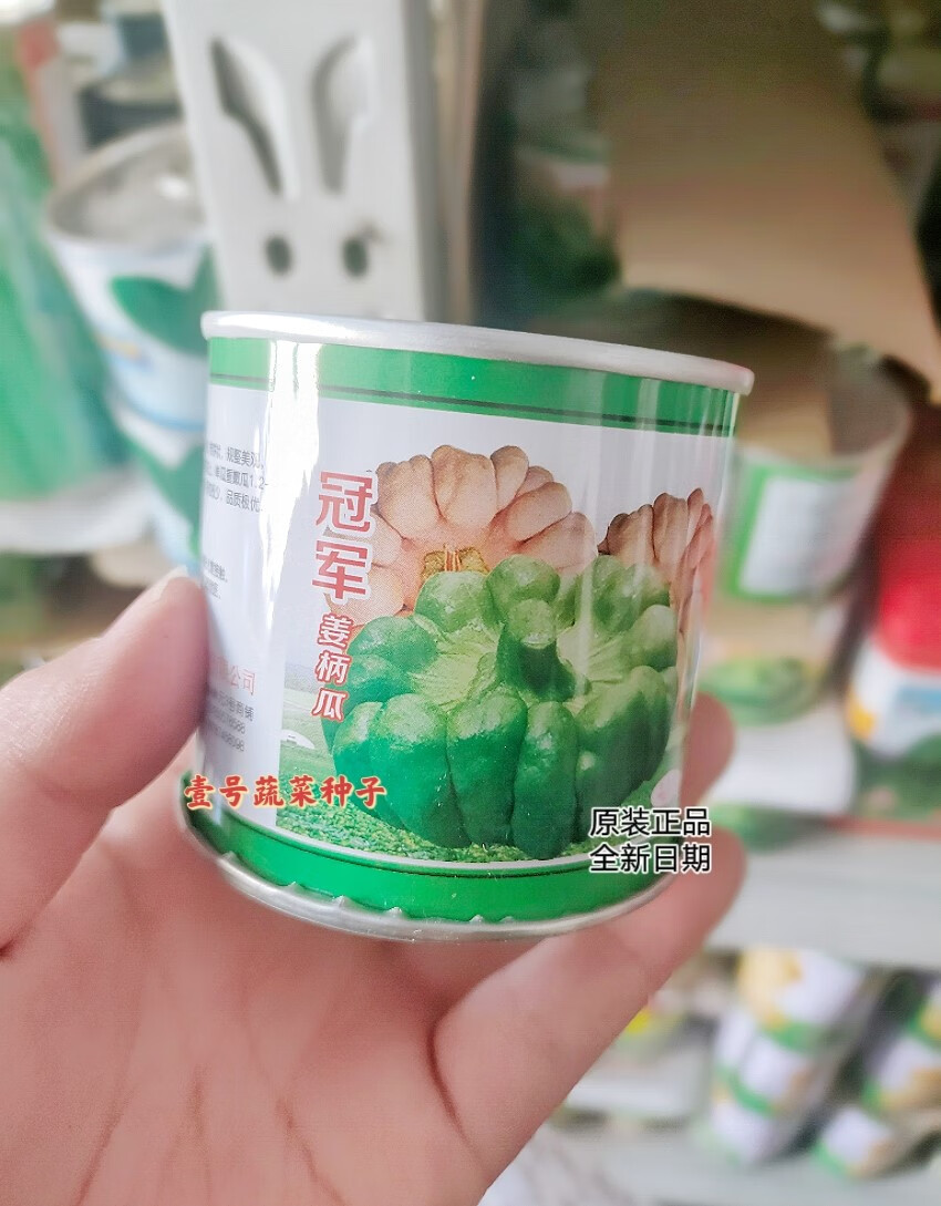 花嫁衣姜柄瓜南瓜种子 甜面南瓜种籽 云南特菜特产基地四季大田蔬菜种