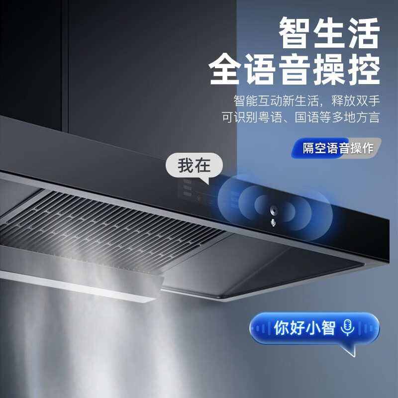 顾家（Gujia）抽油烟机欧式25立方大吸力T型机身黑晶面板家用语音控制吸油烟机CXW-288-G29