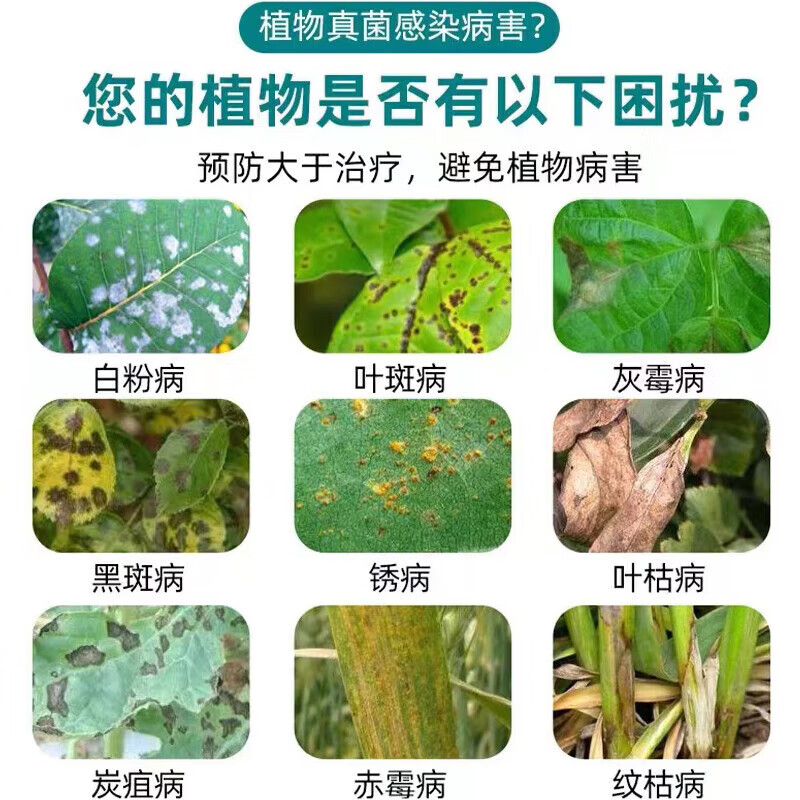 植物多菌灵杀菌剂花卉专用除菌花病康喷剂白粉病炭疽病叶斑病 3瓶装【买2 送1】
