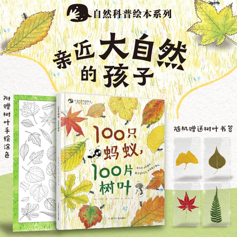 亲近大自然的孩子：100只蚂蚁，100片树叶高性价比高么？
