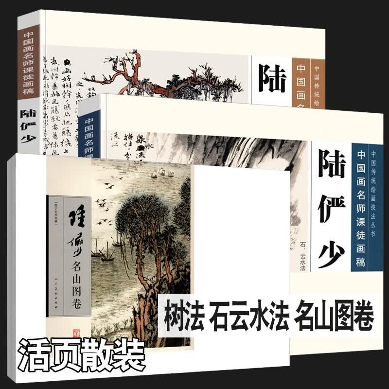 【精编版3册】陆俨少课徒画稿 水云石山蔓藤竹树陆俨少山水画集名山图卷写意花鸟画全集画册临摹教程